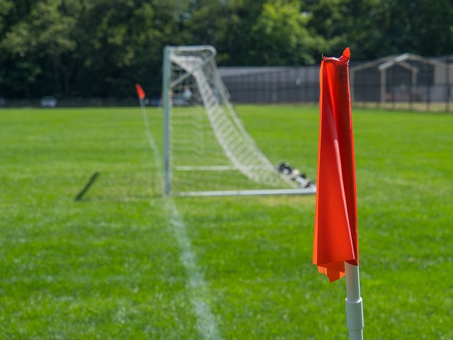 浪漫勇士展 浪漫勇士展