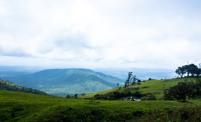 创新优势 创新优势
