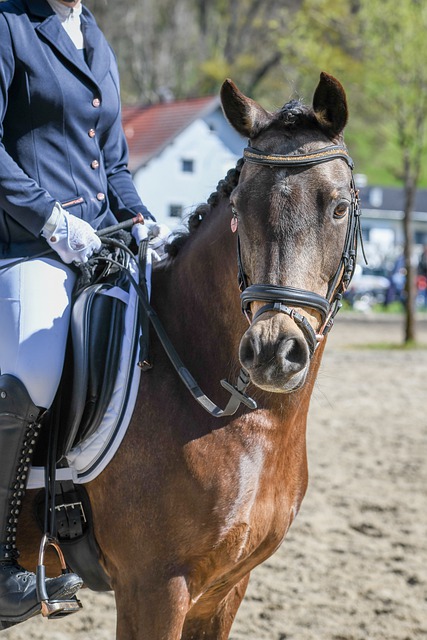 这不仅增强 这不仅增强