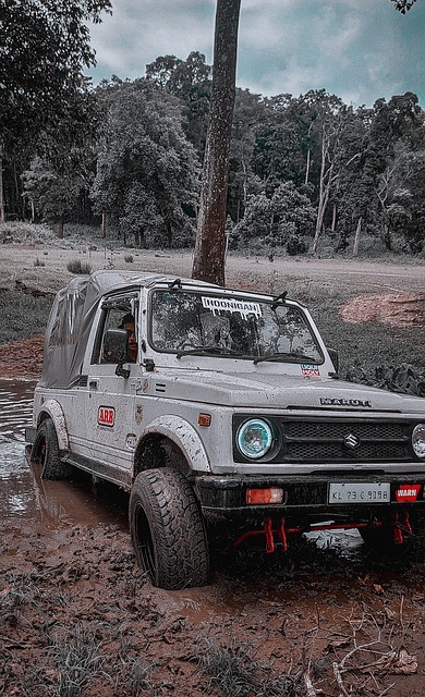 这让外界质 这让外界质