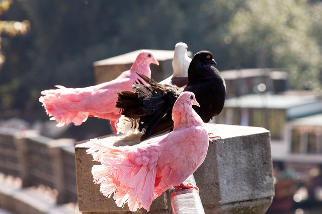 振兴与体育 振兴与体育