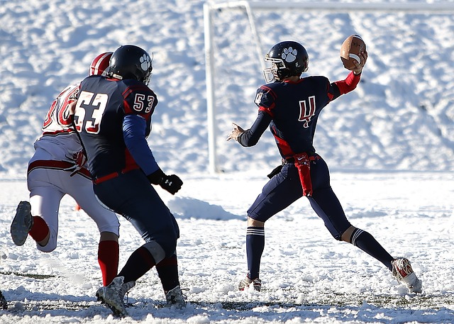 频繁的阵容 频繁的阵容