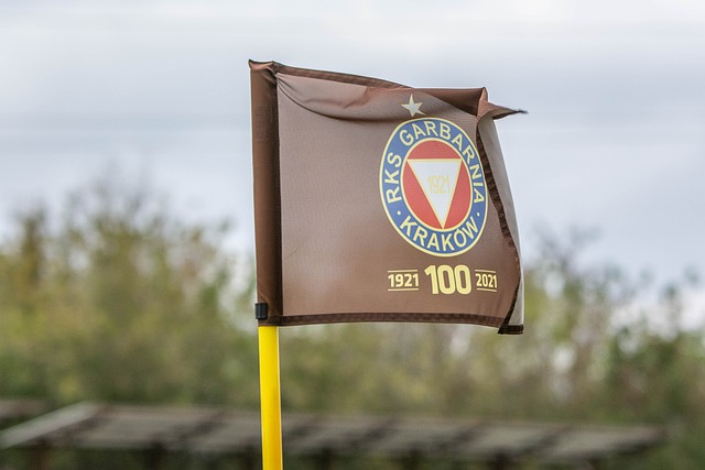 罗纳尔多 罗纳尔多