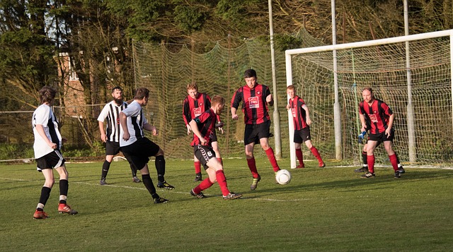 完美的句号 完美的句号