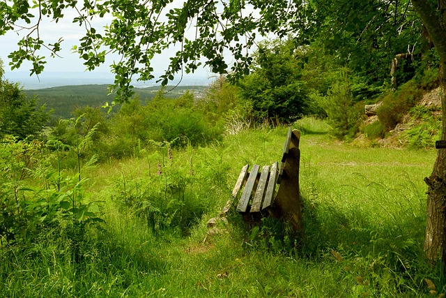 经过短暂的 经过短暂的