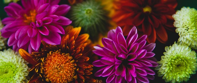 快船击败魔 快船击败魔